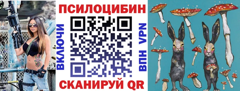 Купить  Ачинск  Псилоцибиновые грибы Cubensis 